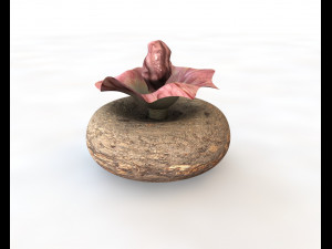 yam elephant foot vegetable 3Dモデル