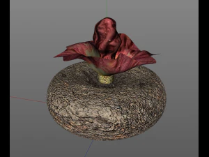 yam elephant foot vegetable 3D Model