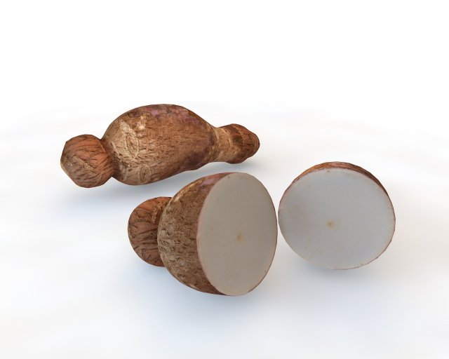 yucca root Model 3D .c4d .max .obj .3ds .fbx .stl .blend 