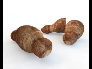 racine de yucca Modèle 3D