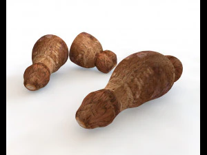 racine de yucca Modèle 3D