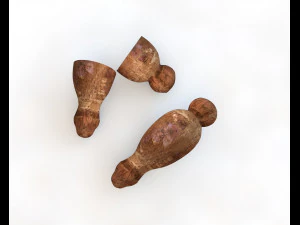 racine de yucca Modèle 3D