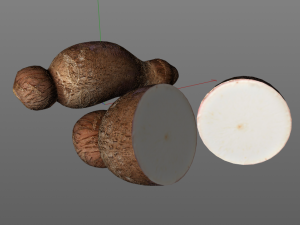 yucca root Model 3D
