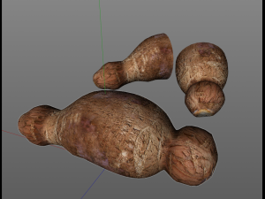 yucca root Model 3D