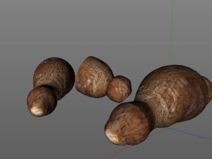 yucca root Model 3D