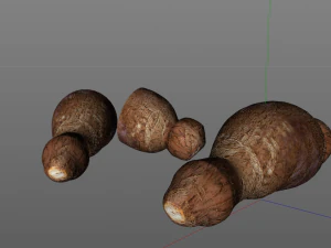 racine de yucca Modèle 3D