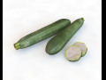 Zucchini Courgette 3D Model