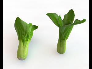 80 plus mega vegetables collection low poly 3D Model