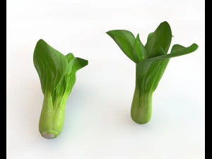 80 plus mega vegetables collection low poly 3D Model