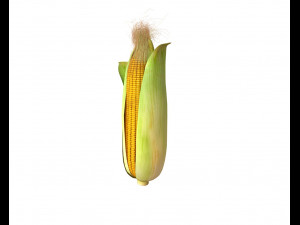 80 plus mega vegetables collection low poly 3D Model