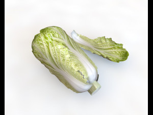 80 plus mega vegetables collection low poly 3D Model