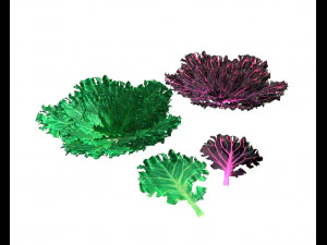 80 plus mega vegetables collection low poly 3D Model