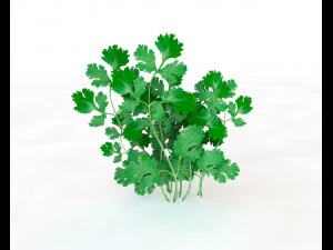 80 plus mega vegetables collection low poly 3D Model