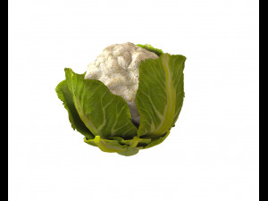80 plus mega vegetables collection low poly 3D Model