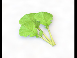 80 plus mega vegetables collection low poly 3D Model