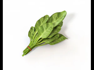 80 plus mega vegetables collection low poly 3D Model