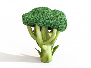 80 plus mega vegetables collection low poly 3D Model