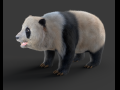 Panda Hair Fur Rigged 3D Model