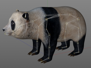 panda hair fur rigged Modello 3D