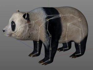 pelliccia di panda truccata Modello 3D