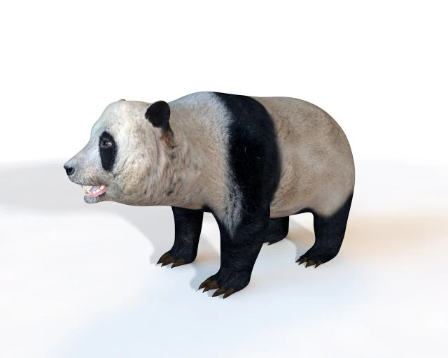 panda rigged 3D Model .c4d .max .obj .3ds .fbx .stl .blend 