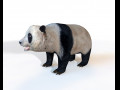 Panda Rigged 3D Model