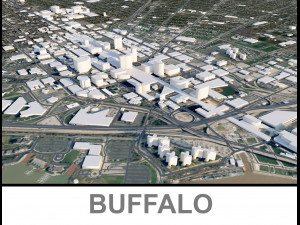 Buffalo City USA 3D Model