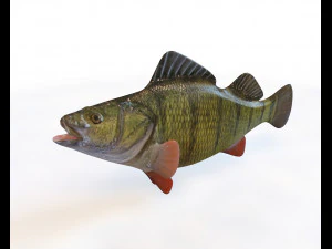 Cole&ccedil;&atilde;o de 50 peixes low poly s Modelo 3D