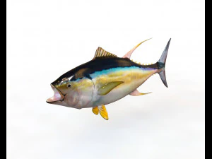 Cole&ccedil;&atilde;o de 50 peixes low poly s Modelo 3D