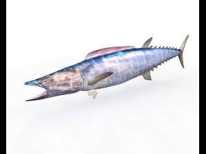 50 fish collection low poly s Model 3D