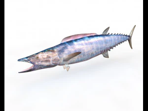 Cole&ccedil;&atilde;o de 50 peixes low poly s Modelo 3D