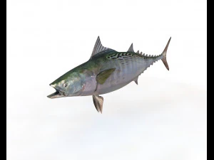 Cole&ccedil;&atilde;o de 50 peixes low poly s Modelo 3D