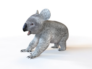 25 rigged zoo animals collection 3D 모델