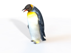 25 rigged zoo animals collection 3D 모델
