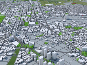 mexico city 50km 3D Model