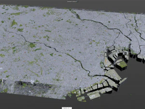 Tokyo city japan 100km 3D Model