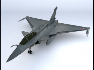 dassault rafale fighter jet Model 3D