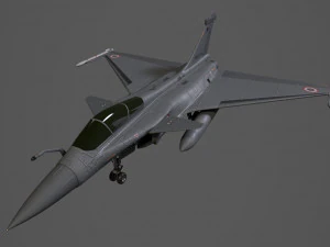 dassault rafale fighter jet 3D Model