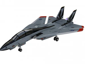 grumman f14 tomcat fighter jet 3D Model