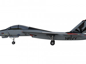grumman f14 tomcat fighter jet Modelo 3D