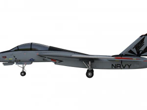 grumman f14 tomcat fighter jet 3D Model