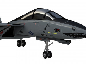grumman f14 tomcat fighter jet Modelo 3D