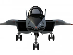 grumman f14 tomcat fighter jet 3D Model