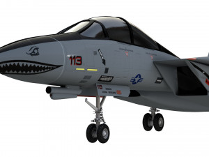 grumman f14 tomcat fighter jet Modelo 3D