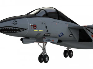 grumman f14 tomcat fighter jet 3D Model