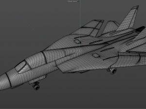 grumman f14 tomcat fighter jet Modelo 3D
