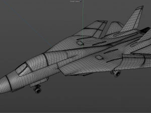 grumman f14 tomcat fighter jet 3D Model