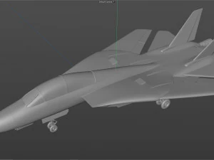 grumman f14 tomcat fighter jet 3D Model