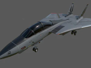 grumman f14 tomcat fighter jet 3D Model
