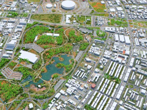 Brasilia city brazil 110 km 3D Model